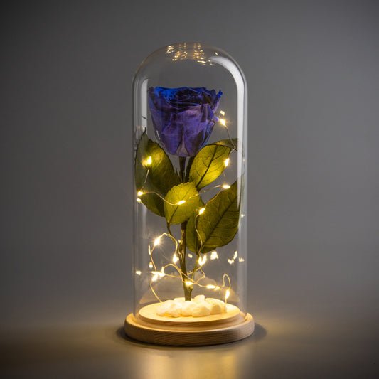 Midnight Sapphire Rose Dome