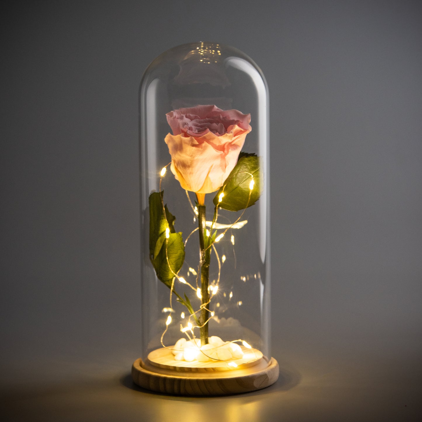 Eternal Blush Rose Dome