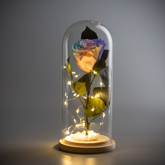 Aurora Rainbow Rose Dome