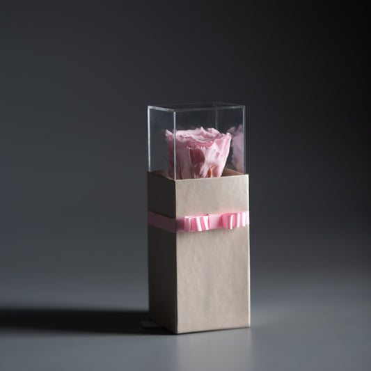 Blush Pearl Rose Box