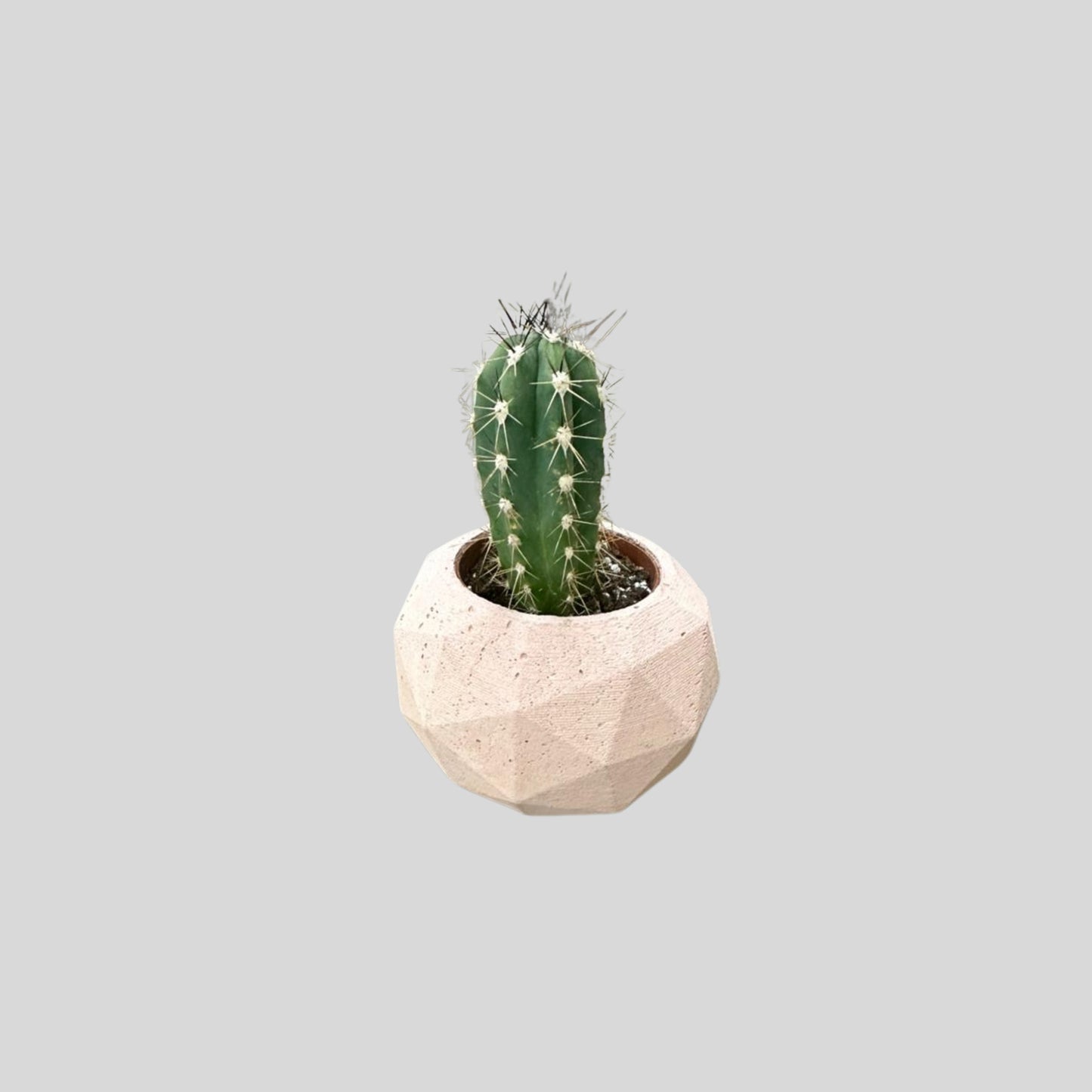 Geometric Desert Cactus Planter
