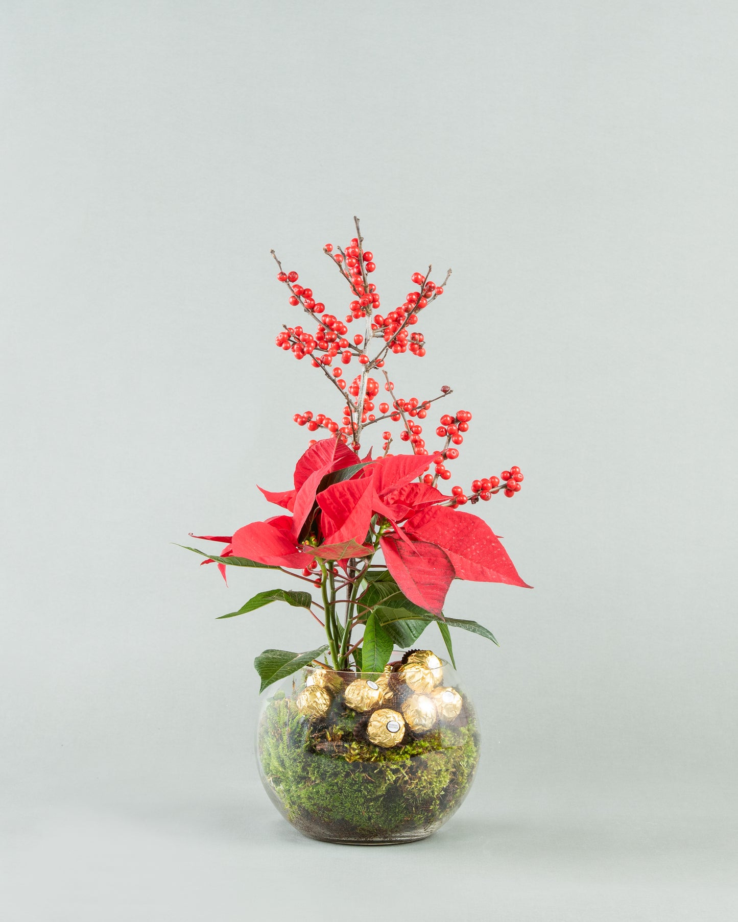 Festive Poinsettia & Ilex Arrangement with Chocolate in Glass Vase