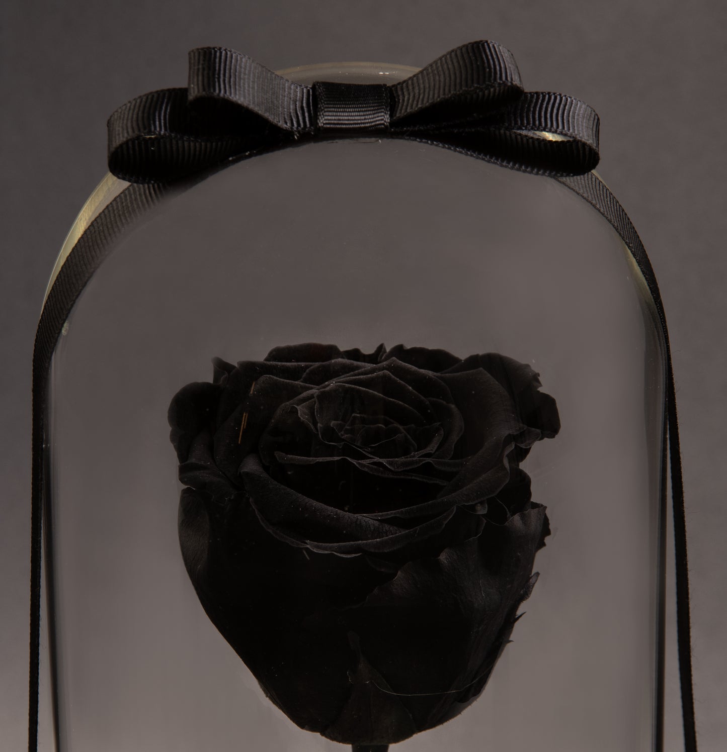 Mystique Black Eternal Roses: Timeless Elegance