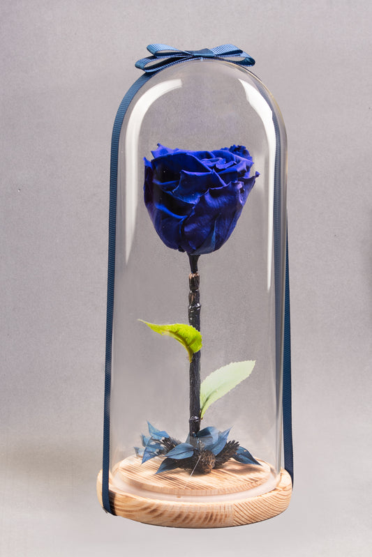 Sapphire Blue Eternal Roses: Lasting Tranquility