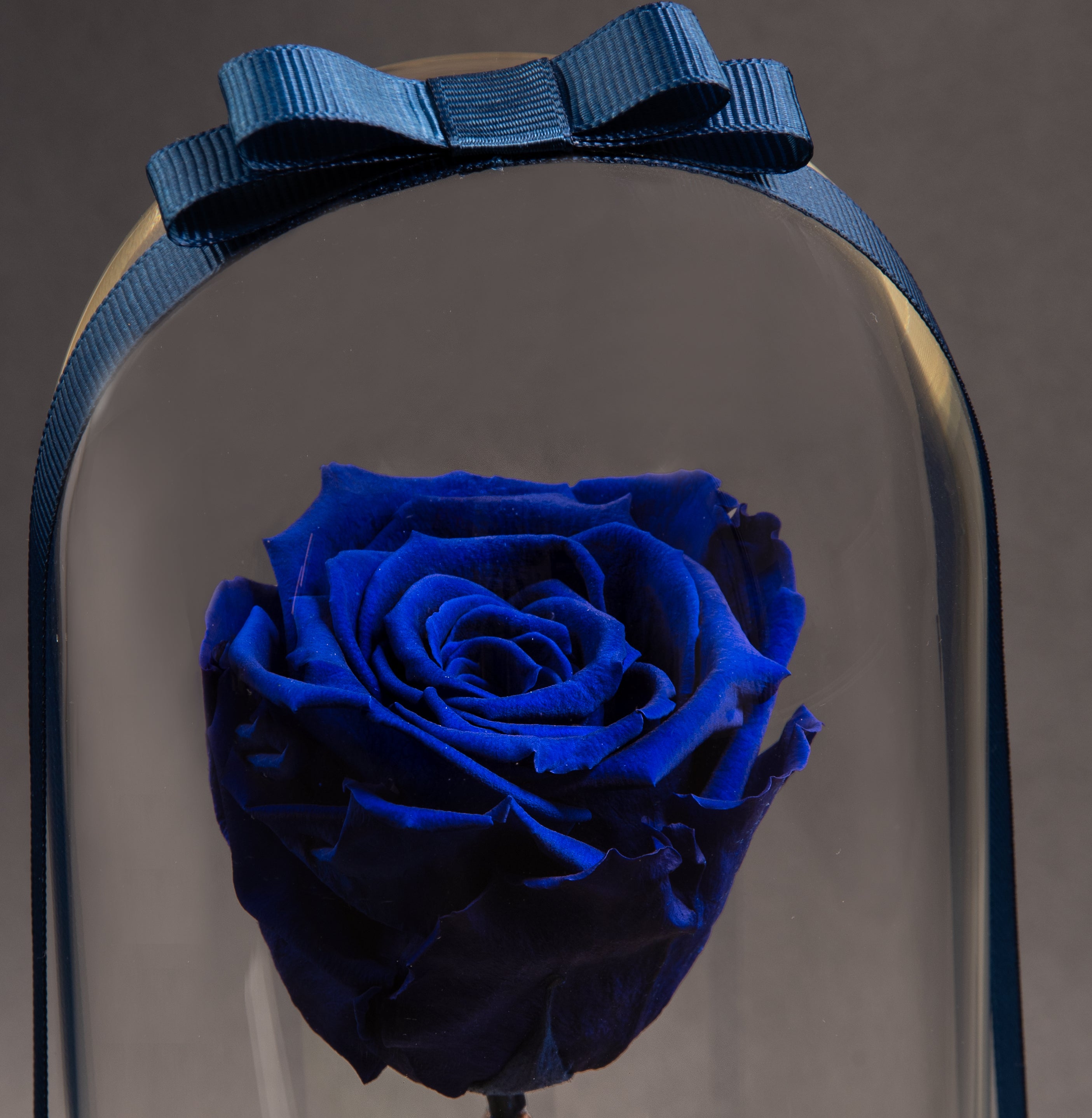 Sapphire Blue Eternal Roses: Lasting Tranquility