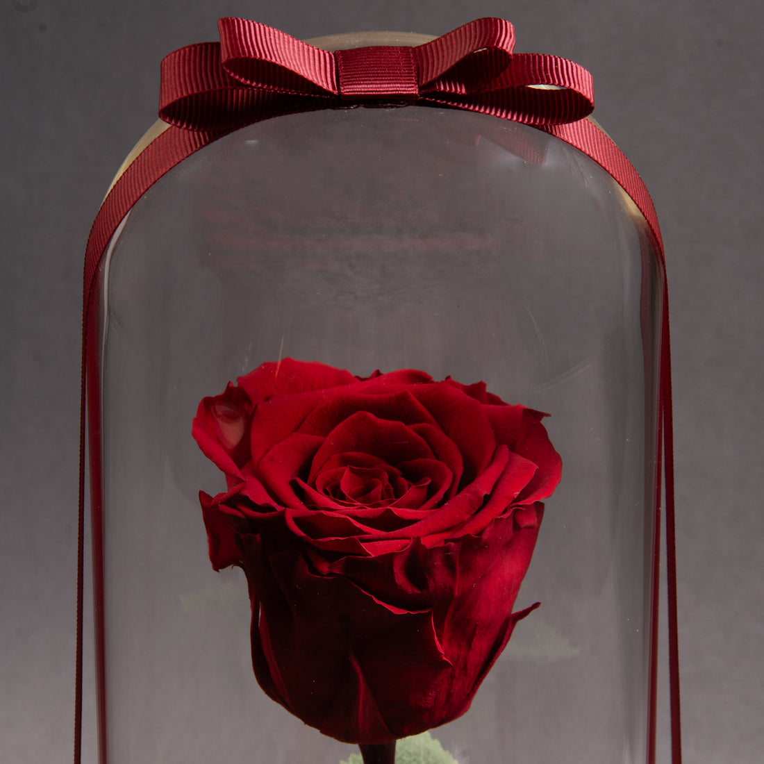 Classic Red Eternal Roses: Timeless Passion