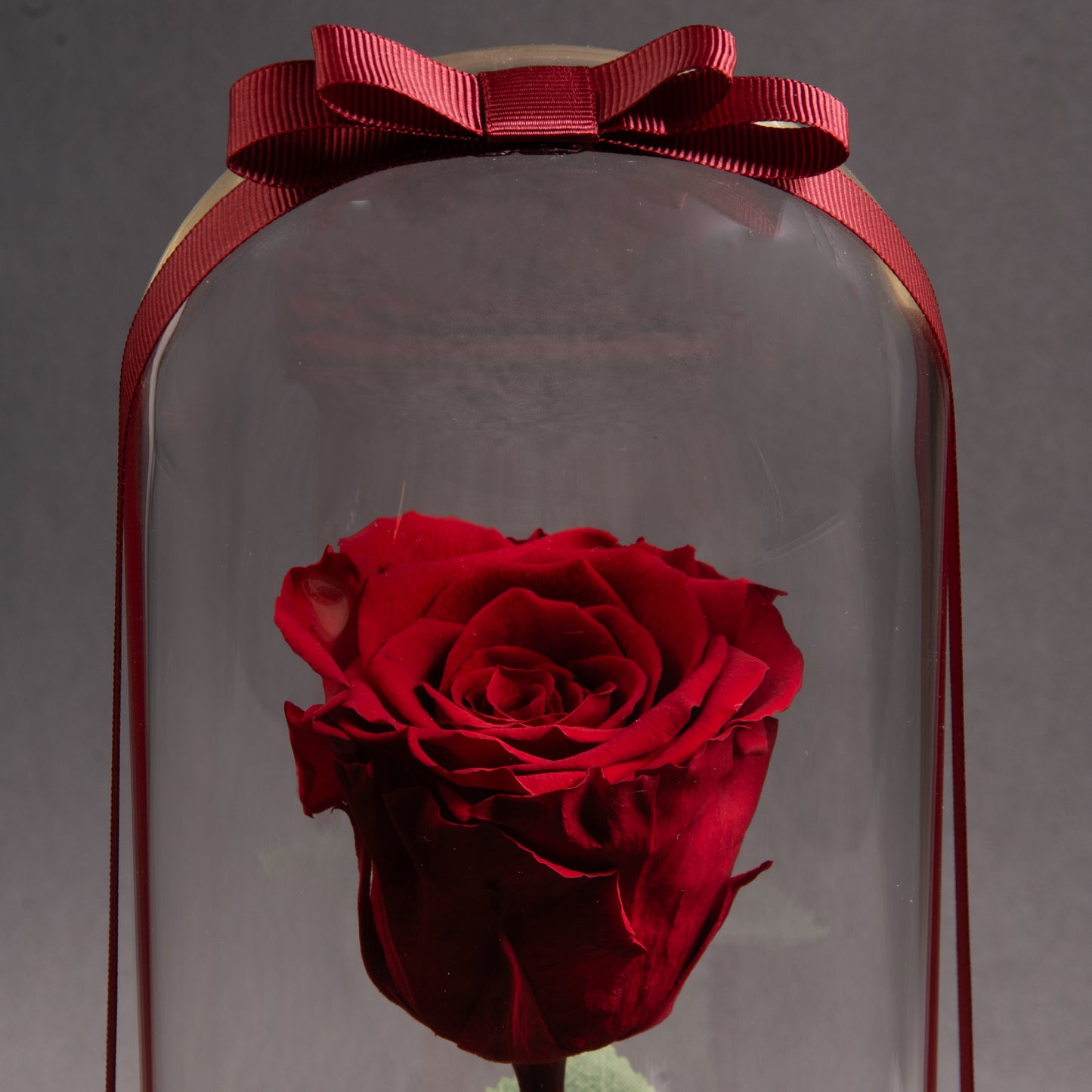 Classic Red Eternal Roses: Timeless Passion