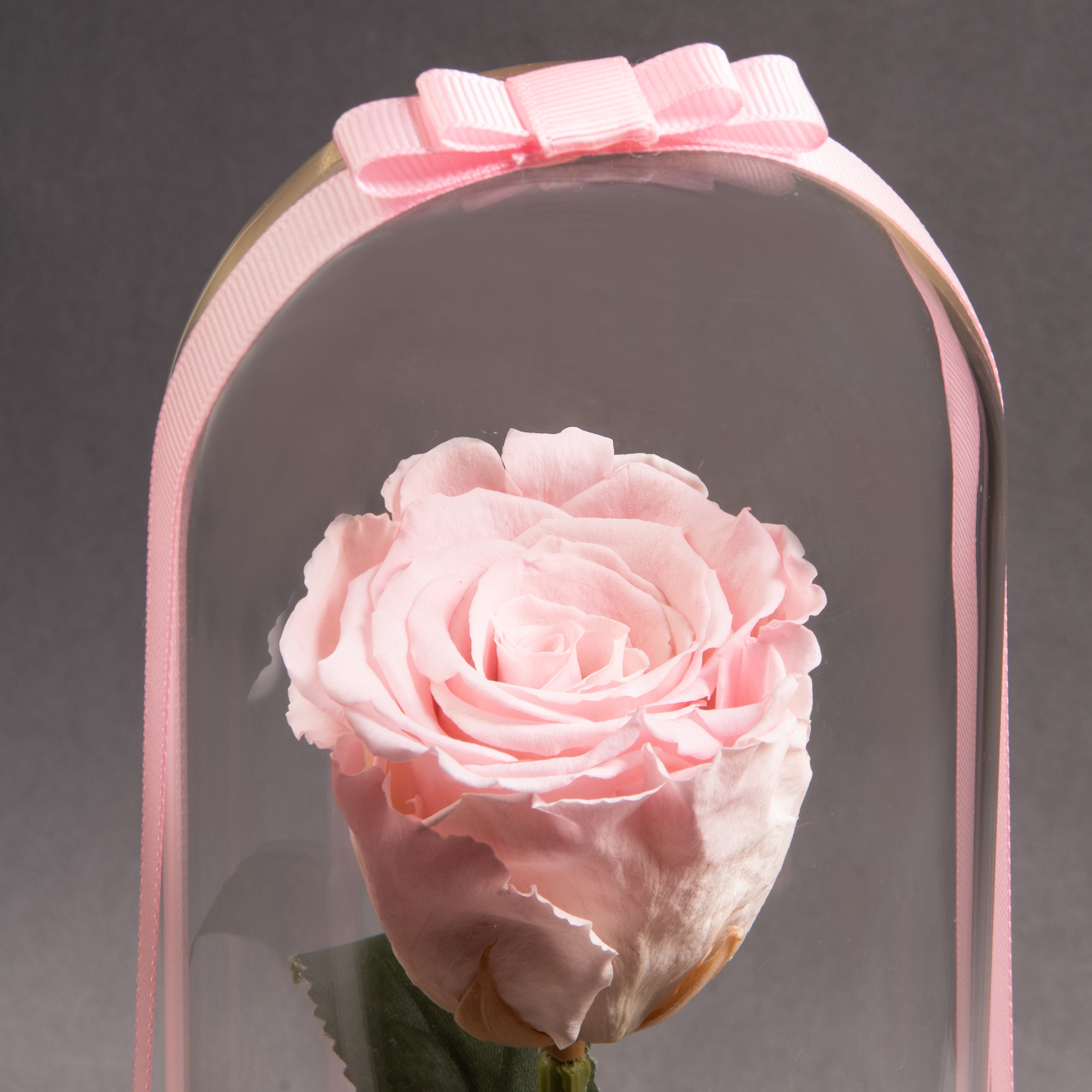 Blush Pink Eternal Roses: Everlasting Elegance