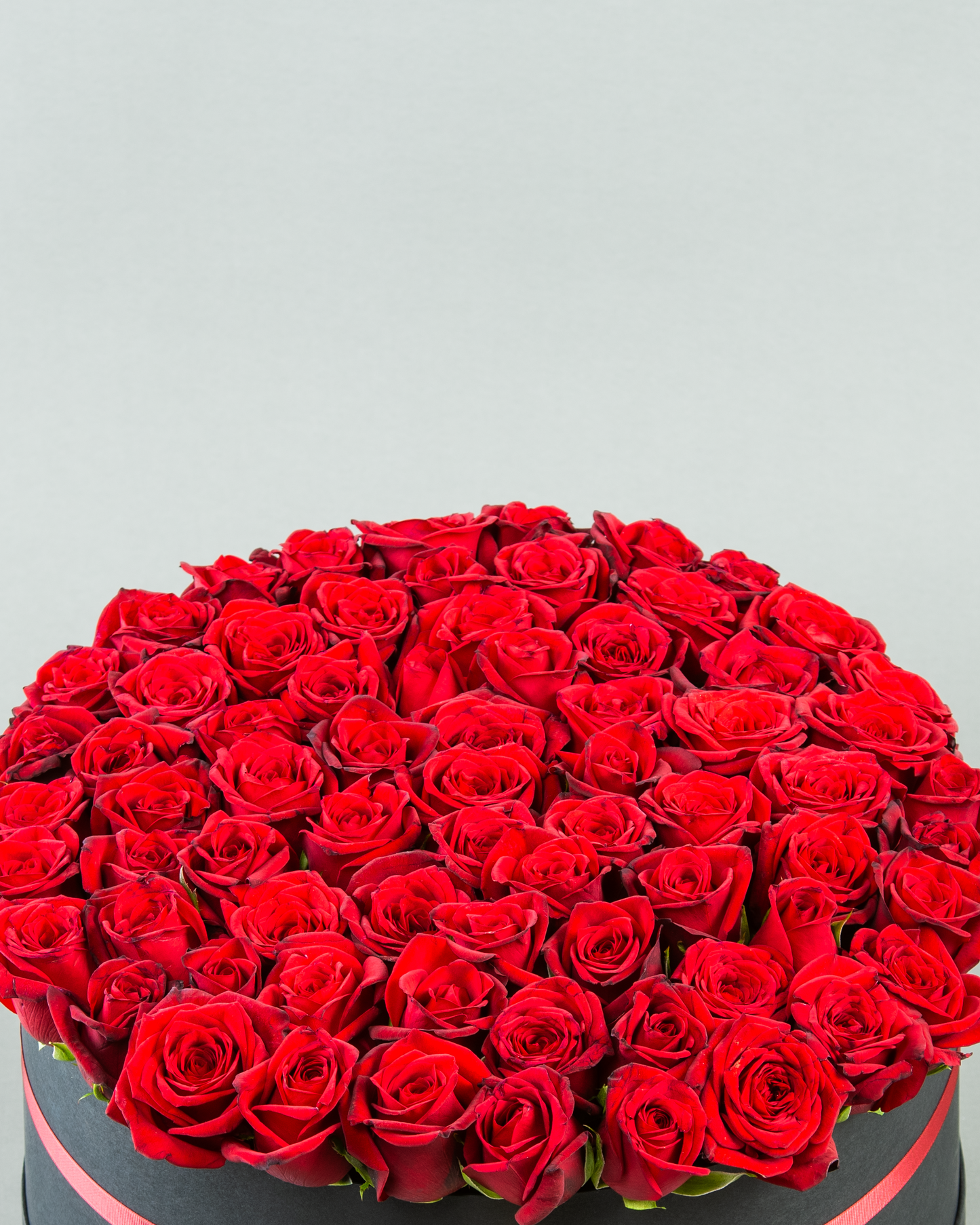 Radiant Red Rose Extravaganza