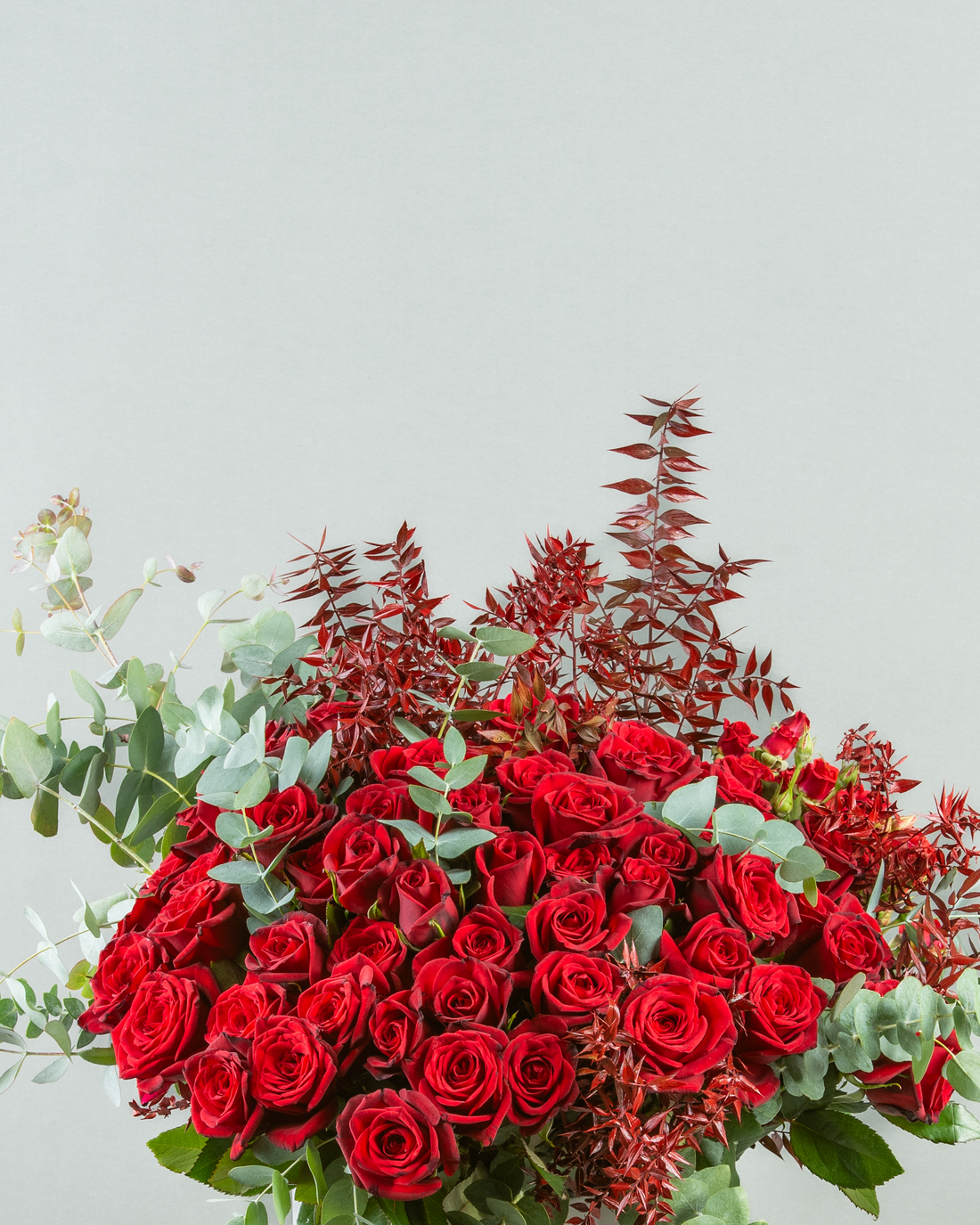 Majestic Red Rose Elegance in Large Cylinder Concrete Planter