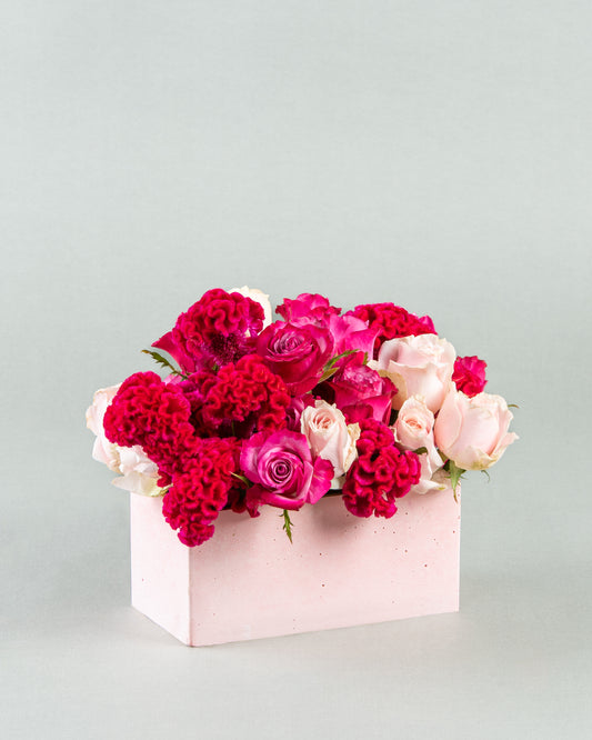 Vivid Blossoms: Sweet Celosia & Deep Purple Flowers in Rectangular Pink Concrete Planter