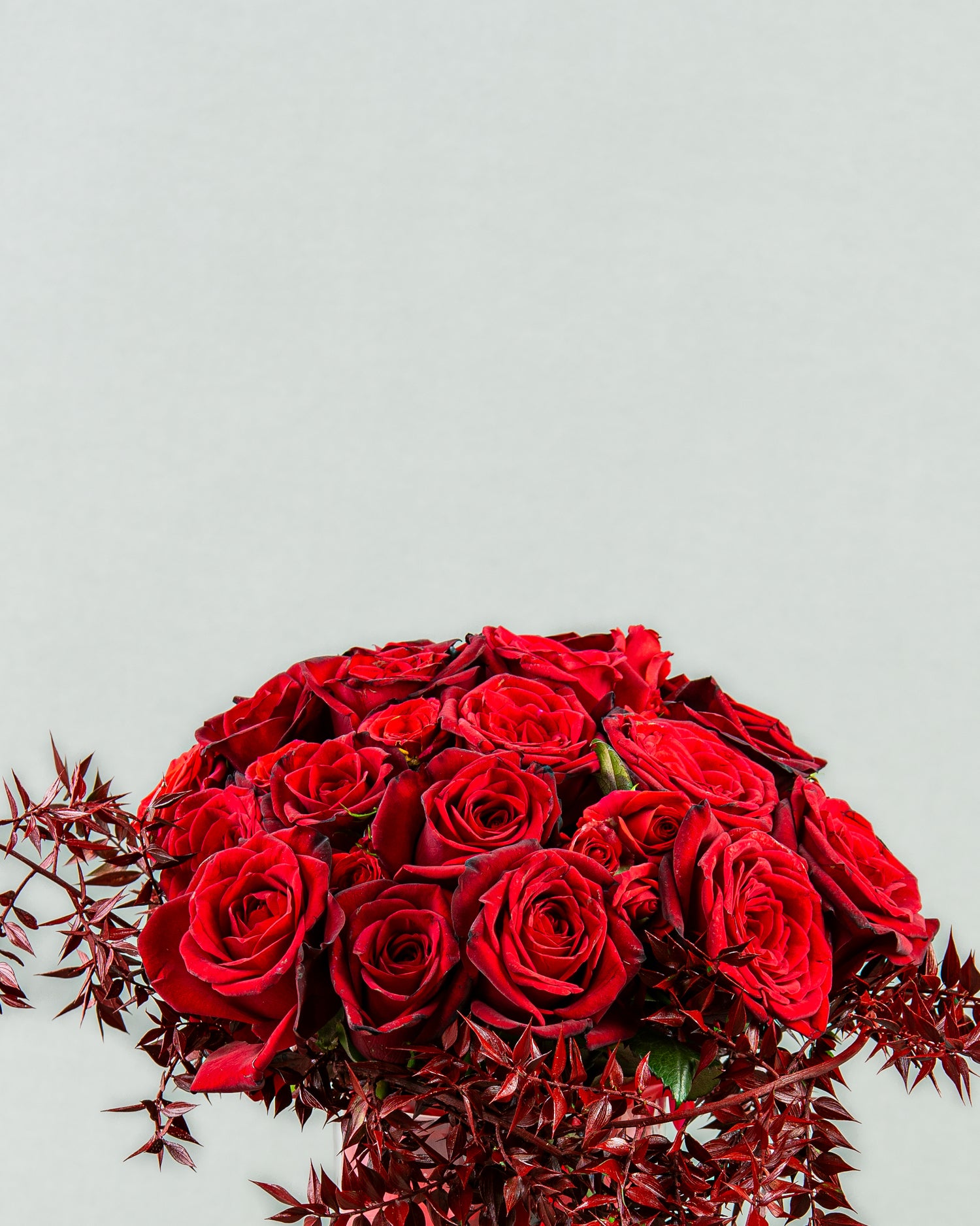 Crimson Elegance: 20 Red Roses with Bordo Ruscus in Vase