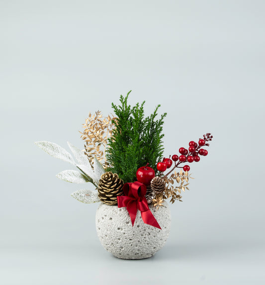 Small Christmas Tree Decorated in a Pot