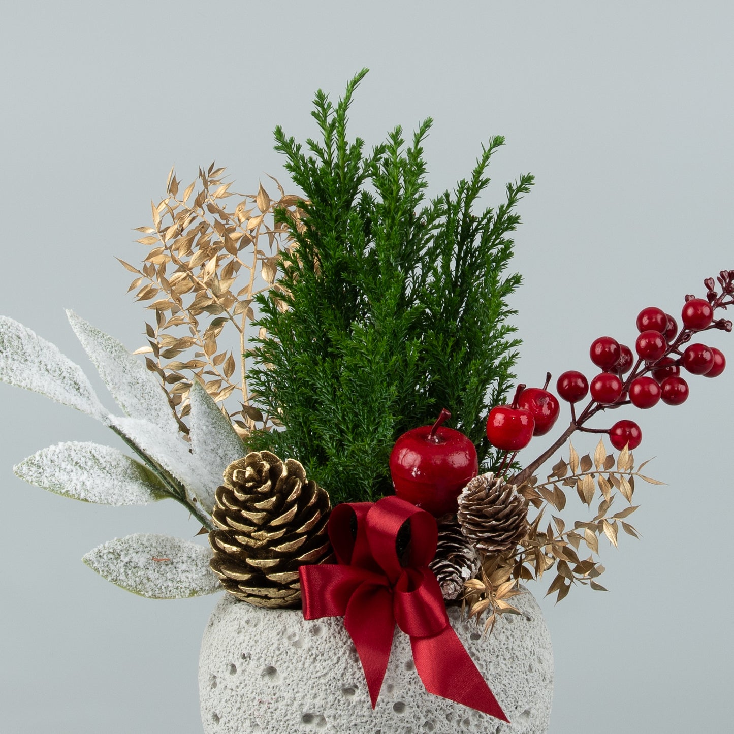 Small Christmas Tree Decorated in a Pot