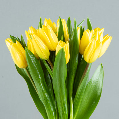 Sunny Delight: 20 Yellow Tulip Bouquet