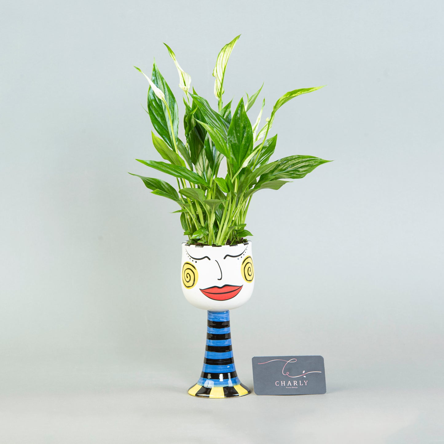 Verdant Versatility: Mini Spathiphyllum in Multi-Use Ceramic Vase